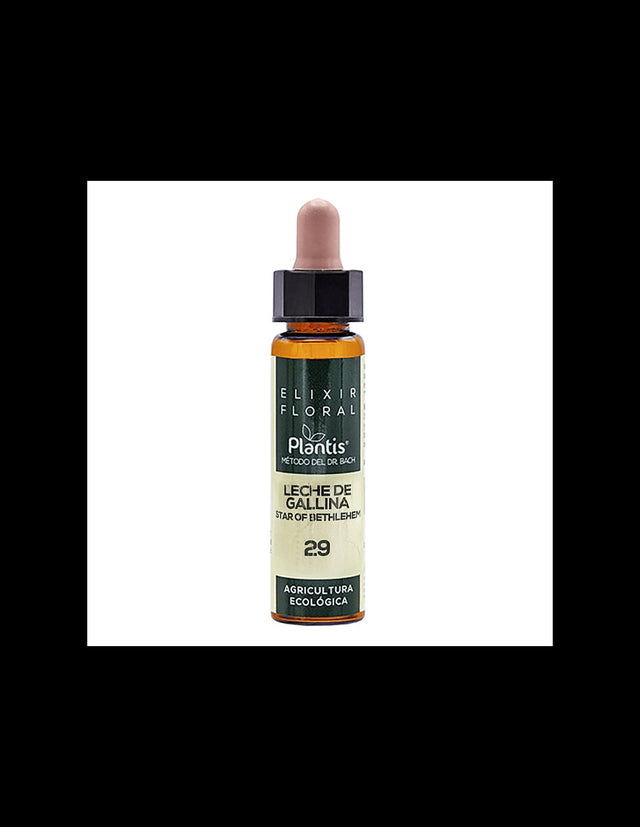Leche de gallina (Star of Bethlehem) Elixir Floral 29 - Flower elixir of Star of Bethlehem, 10 ml Artesania - Nutra Best Europe