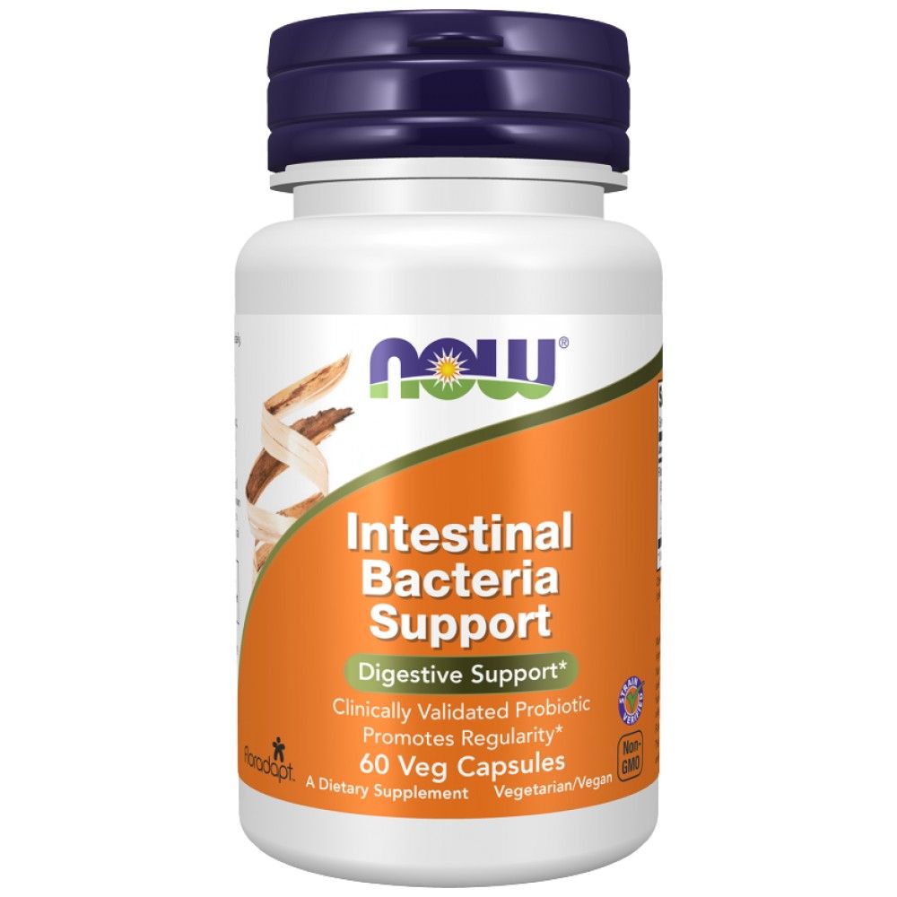 Intestinal Bacteria Support | with 3 Billion Active Cells - 60 capsules - Nutra Best Europe