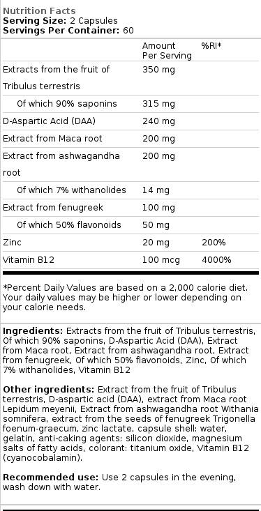 Men's Support Extreme | Testosterone Booster - 120 capsules - Nutra Best Europe