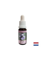 Az egyensúlyért és a nyugalomért - Verbena Essence No. 31, cseppek 15 ml