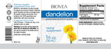 Dandelion Liquid Drops / 30 ml - Nutra Best Europe