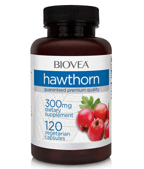Hawthorn 300 mg / 120 Caps - Nutra Best Europe