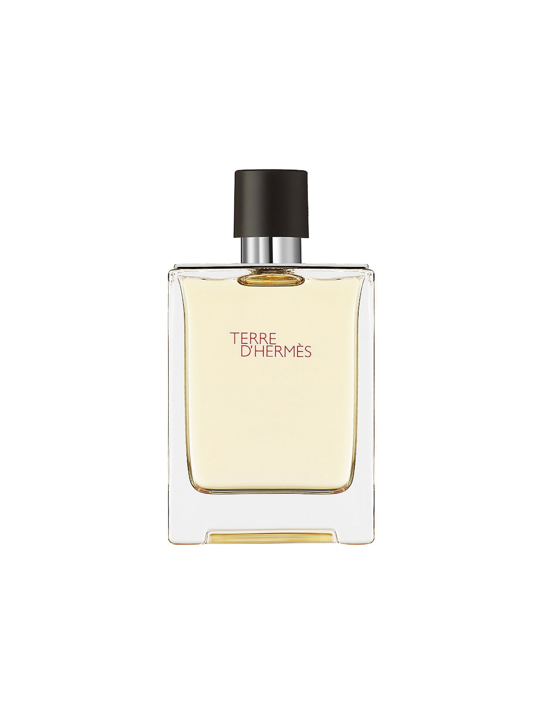 Hermes Terre D'Hermes Eau De Toilette Spray 100ml - Nutra Best Europe