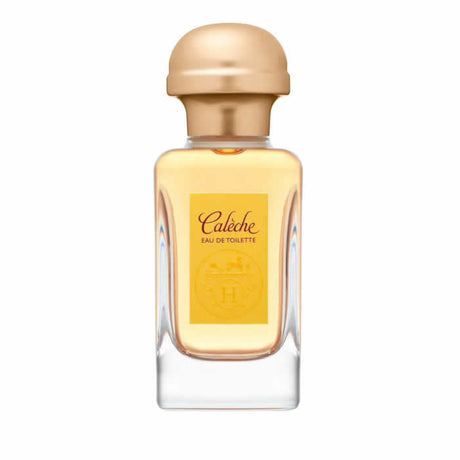 Hermès Calèche Eau De Toilette Spray 100ml - Nutra Best Europe