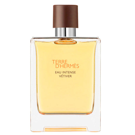 Terre D'Hermès Eau Intense Vetiver Spray 100ml - Nutra Best Europe