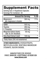 Theanine Complex / 120 Caps - Nutra Best Europe