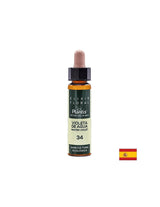 Violeta de agua (Water Violet) Elixir Floral 34 - Flower elixir of water violet, 10 ml Artesania - Nutra Best Europe
