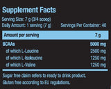 BCAA Xpress Flavored 0.280 kg - Nutra Best Europe