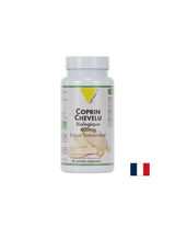 Vércukorszint szabályozás - Koprinka gomba kivonat, BIO, 400 mg x 60 kapszula