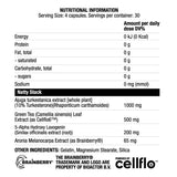 Nattystack | with Turkesterone - 120 capsules - Nutra Best Europe