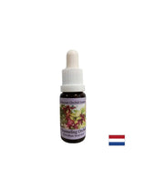 Segíti a médiumokat a spirituális üzenetek továbbításában – Channeling Orchid Essence No. 5, 15 ml-es cseppek