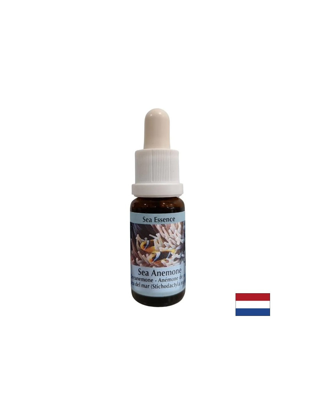 Erősíti a kohéziót és a tisztaságot partnerválasztáskor - Sea Anemone Essence No. 6, cseppek 15 ml