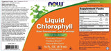 Liquid Chlorophyll & Mint - 473 ml - Nutra Best Europe