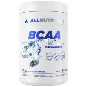 BCAA Max Support | Instant - 500 grams - Nutra Best Europe