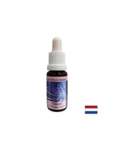 Hogy magadra koncentrálj - Cikória Essence No. 8, cseppek 15 ml