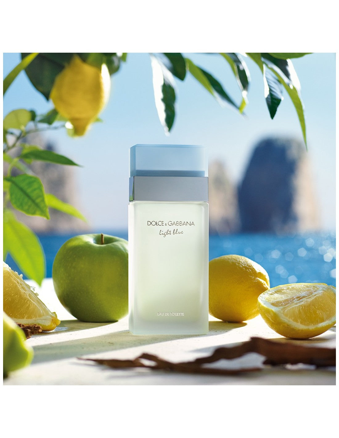 Dolce and Gabbana Dolce and Gabbana Dolce and Gabbana Dolce and Gabbana Dolce and Gabbana Dolce and Gabbana Light Blue Pour Femme Edt Spray 200ml - Nutra Best Europe