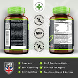 Vegan Essential Multivitamin /120 capsules, 120 days/ Nutravita - Nutra Best Europe