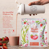Vegan Protein (Strawberry) - 600 g - Nutra Best Europe
