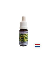 Közelebb hozza az embereket a természet energiájához - Essence Orchid Deva No. 9, cseppek 15 ml
