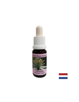 Összeköti a belső világot a valósággal - Essence Povet No. 9, cseppek 15 ml