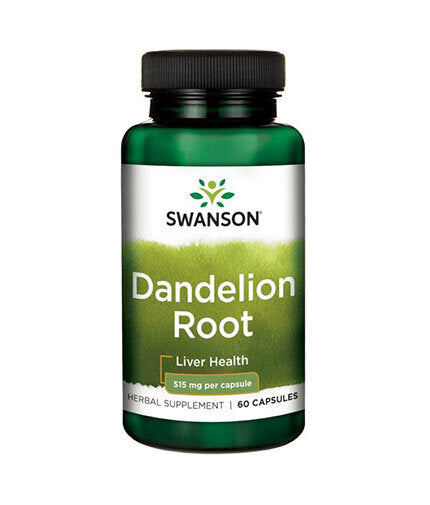 Dandelion Root 515 mg - 60 capsules - Nutra Best Europe