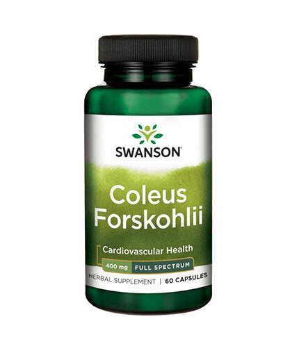 Coleus Forskohlii / Forskolin 400 mg - 60 capsules - Nutra Best Europe