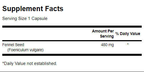 Fennel 480 mg - 100 capsules - Nutra Best Europe