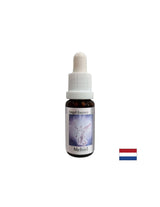 A megfelelő szavak megtalálásához - Essence Mechiel (Angel Essence No. 16), cseppek 15 ml
