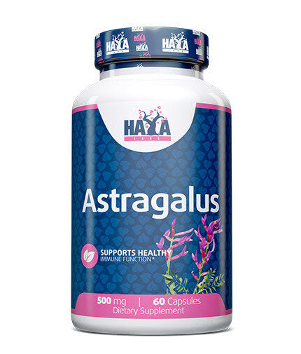 Astragalus 500 mg./60 kupak.