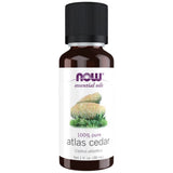 Atlasz cédrusolaj | 100% tiszta Cedrus Atlantica - 30 ml