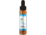 Bach Drops WHITE GESTNUT 20 ml