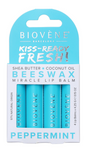 Lip balm with beeswax and mint – freshness and protection - 4 pieces - Nutra Best Europe
