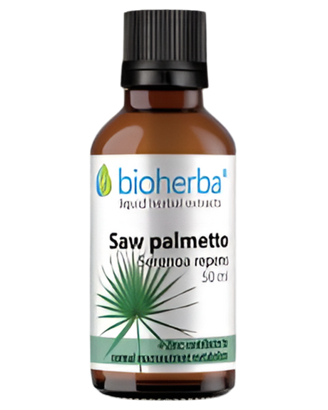 Tincture Saw Palmetto - 50 ml - Nutra Best Europe