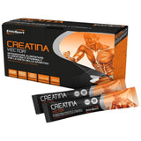 CREATINA VECTOR | Kreatin & Aminosavak - 20 x 8 gramm