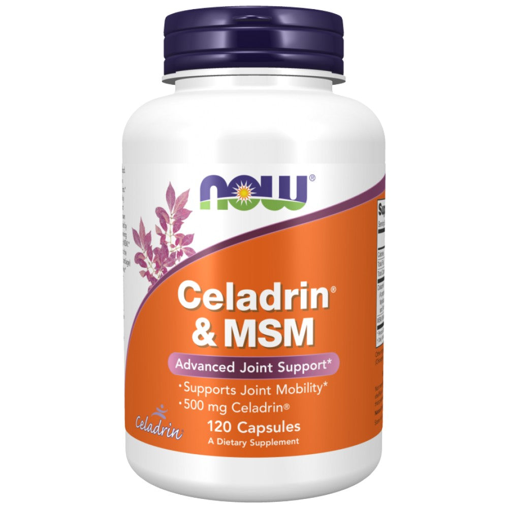 Celadrin & MSM 500 mg - 120 kapszula