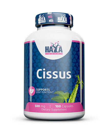 Cissus 500 mg/100 kapsz
