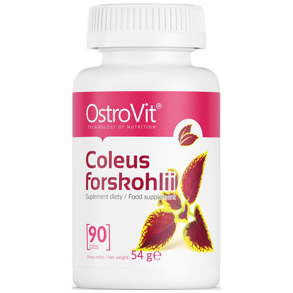 Coleus Forskohlii 90 tabletta