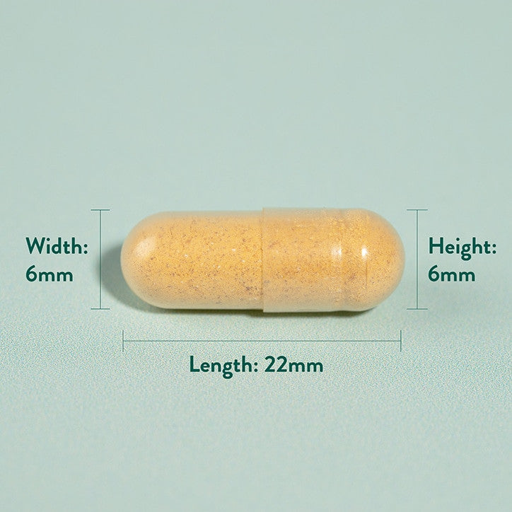 Kurkuma 500mg 240 kapszula HOLLAND & BARRETT
