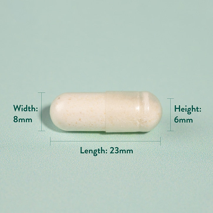 Maltodextrin/100% tisztaságú - 3000 gramm