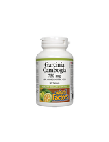 Garcinia Cambogia 750 mg - 90 Tablets - Nutra Best Europe