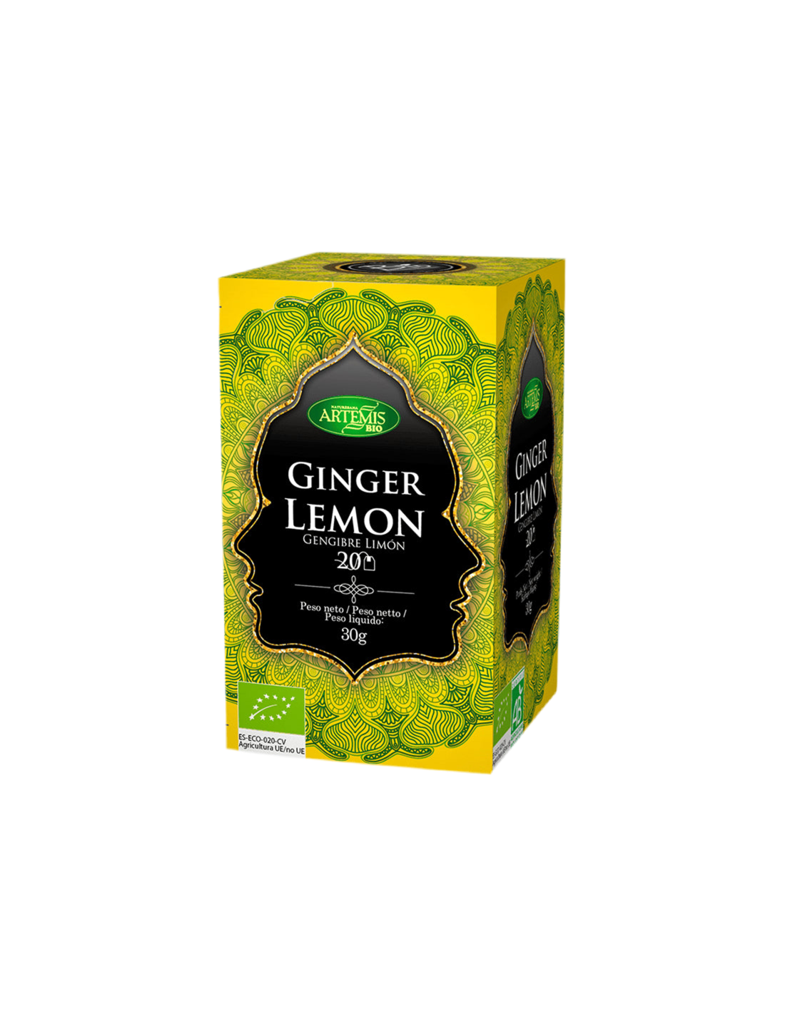 Tea with ginger and lemon BIO, 20 filter bags - Nutra Best Europe