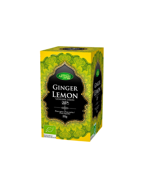 Tea with ginger and lemon BIO, 20 filter bags - Nutra Best Europe