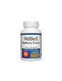 WellBetX Mulberry Extract 100 mg - 90 capsules - Nutra Best Europe