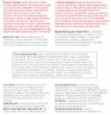 Anti-Cellulite Cream - 200 ml - Nutra Best Europe