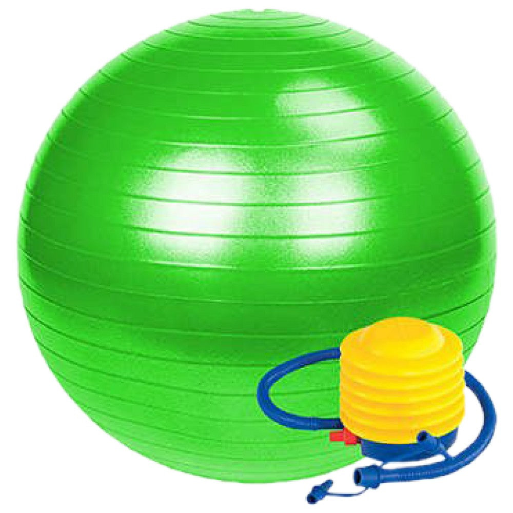 Gymnastic Swiss Ball 65 cm/Gymnastic Swiss Ball with Pump 65 cm 65 cm