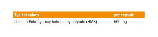 HMB 90 capsules - Nutra Best Europe