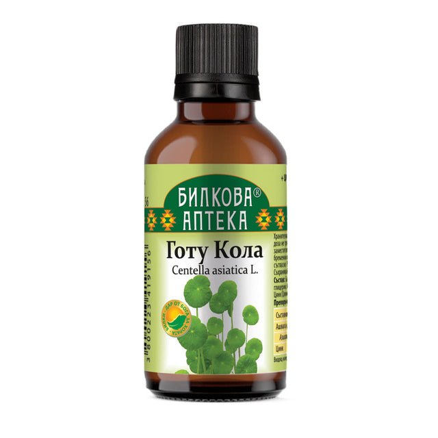 Gotu Kola Tincture - 50 ml - Nutra Best Europe
