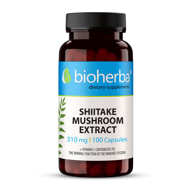 Shiitake Mushroom Extract 310 mg - 100 capsules - Nutra Best Europe