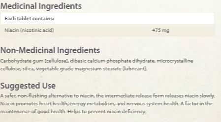 Bacopa Monnieri / Vege / 90 Caps - Nutra Best Europe