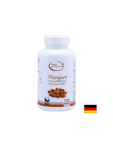 Pangam Nahrungsegänzung mit Pangamat B15 - Pangam (B15-vitamin), 120 kapszula El Compra